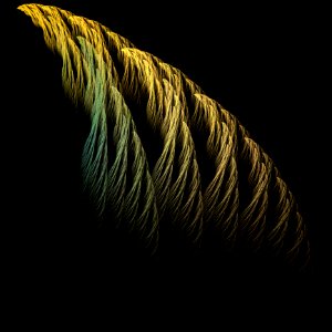 Feather Close Up Macro Photography Darkness photo