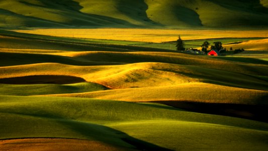 Palouse Hills At Sunrise