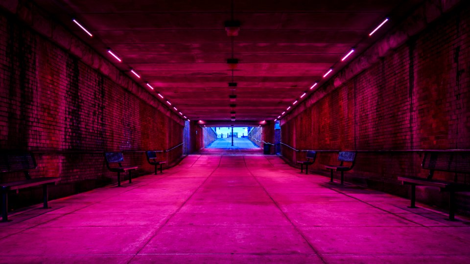 Pink Lights In Tunnel photo