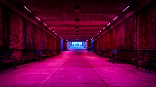 Pink Lights In Tunnel photo