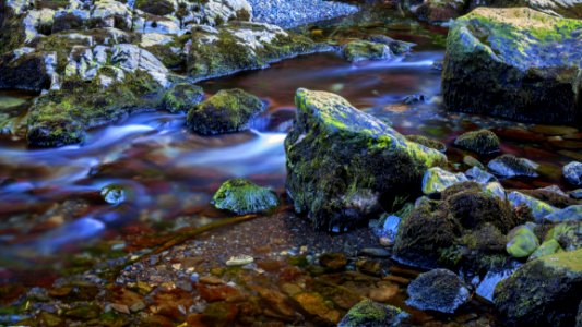 Moss Covered Rock In Stream
