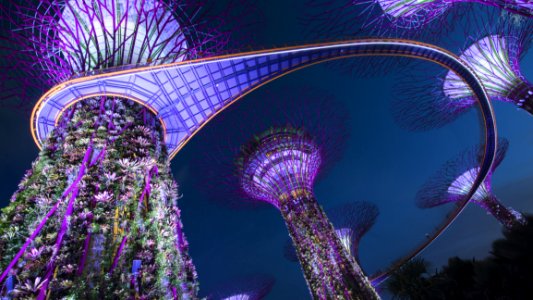 Purple Tourist Attraction Violet Festival