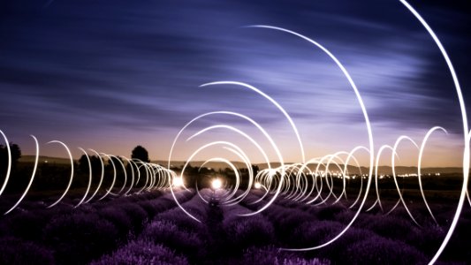 Circular Light Trails In A Lavender Field photo