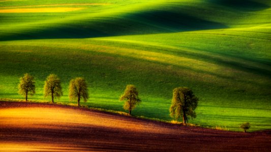 Trees And Fields In Countryside photo