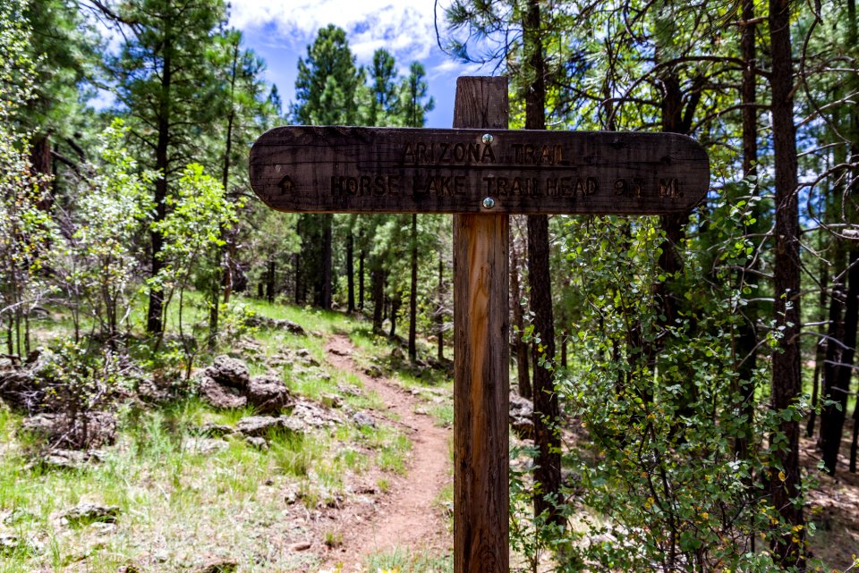 Arizona Trail Anderson Mesa AZT-30