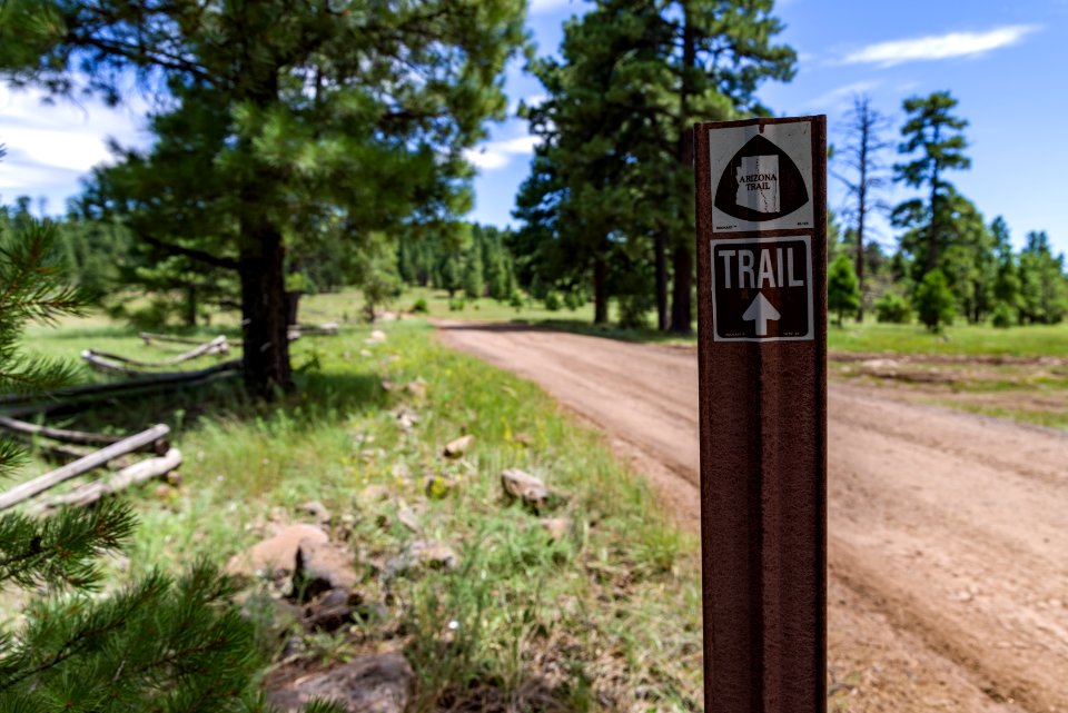Arizona Trail Anderson Mesa AZT-30