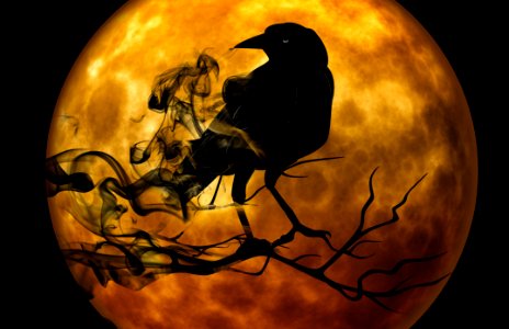 Halloween Moon Pumpkin Computer Wallpaper photo