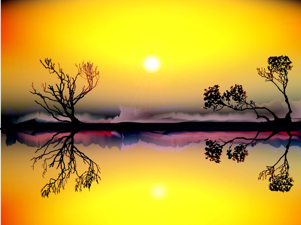 Nature Yellow Sky Branch