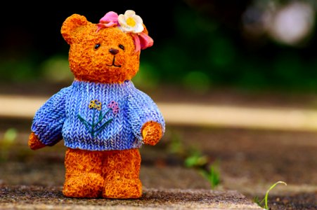 Teddy Bear Stuffed Toy Toy Snout