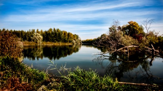 Reflection Water Nature Waterway