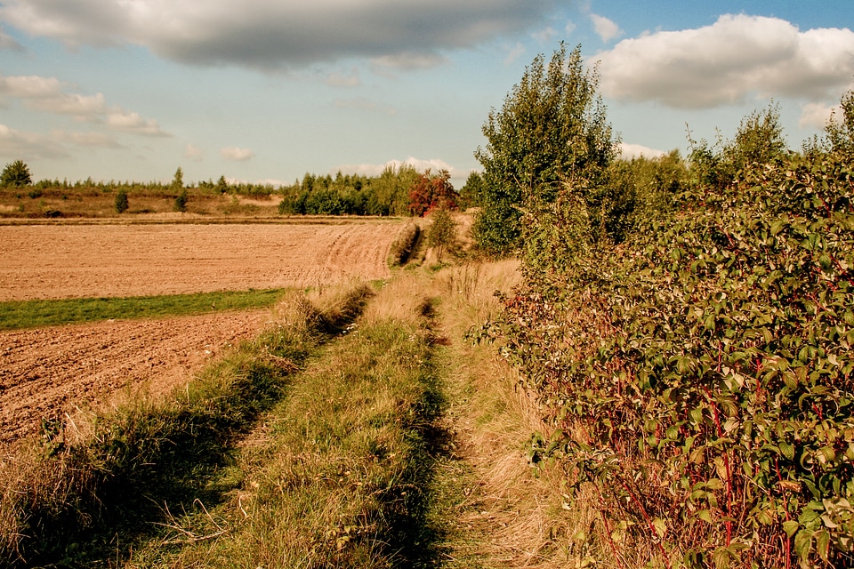Way the cultivation of agriculture