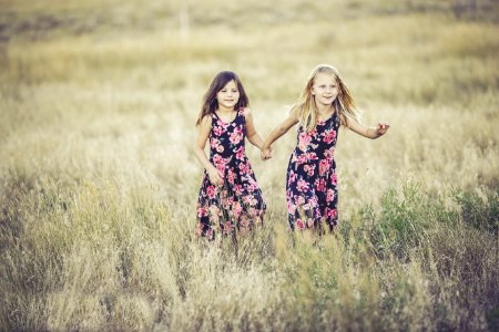 Photograph Lavender Prairie Grassland