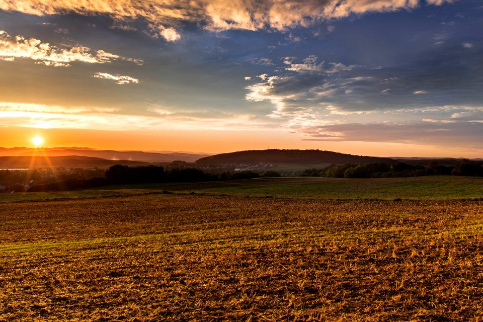 Sky Field Grassland Ecosystem