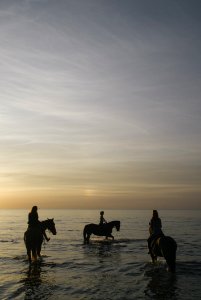 THREE GIRLS RIDING HORSES