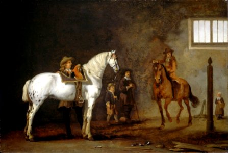 White Horse In A Riding School