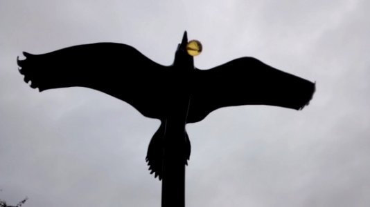 IMG20170821174318461