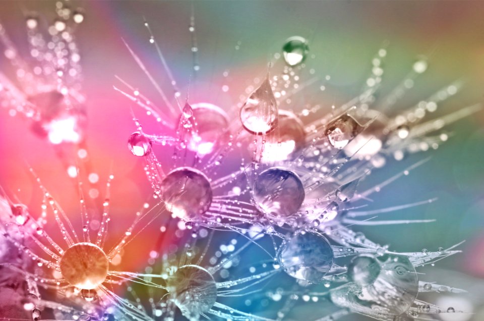 Close Up Purple Water Computer Wallpaper