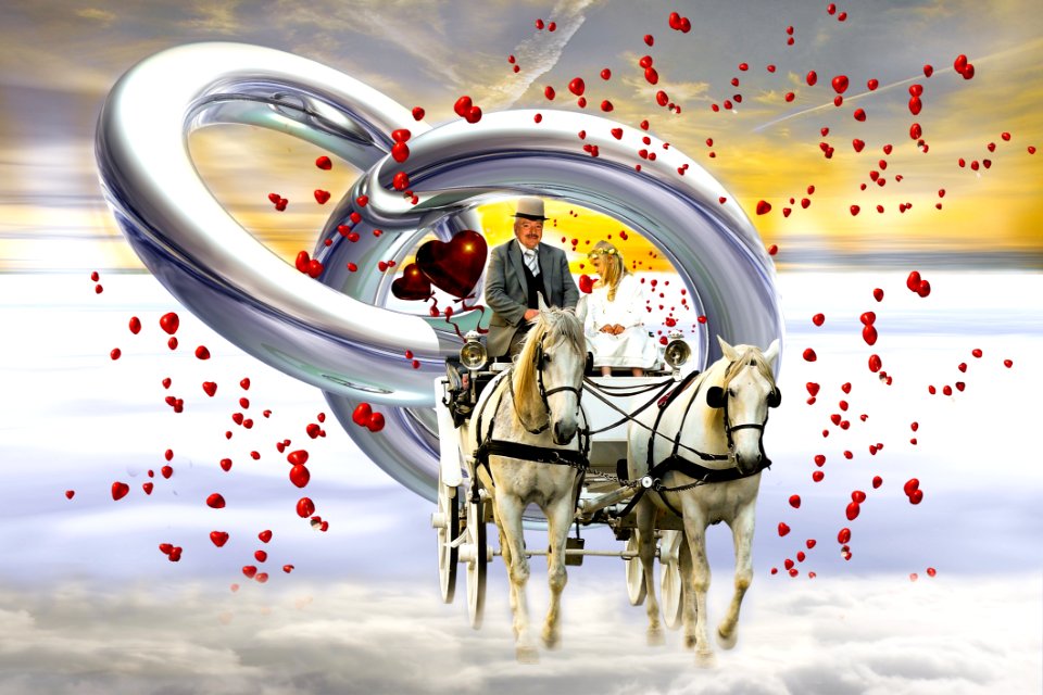 Art Horse Like Mammal Love Illustration
