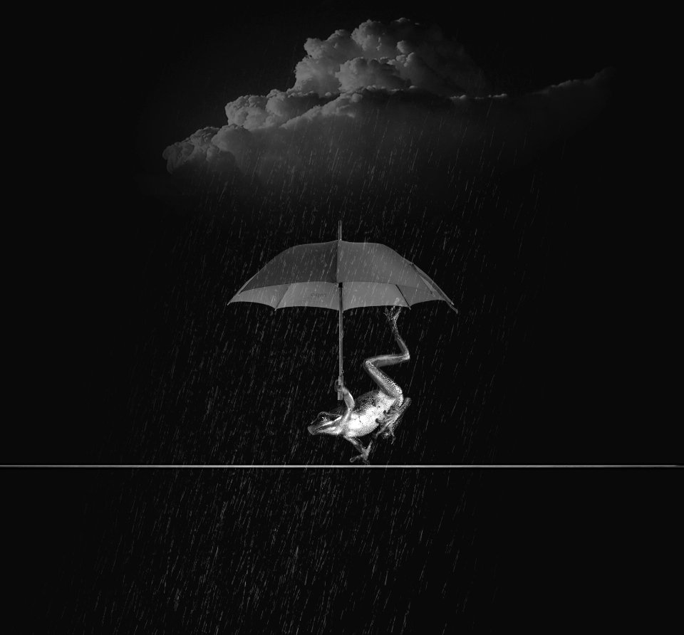 Black Black And White Monochrome Photography Atmosphere