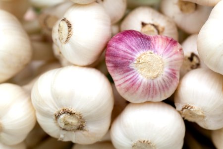 Garlic Vegetable Produce Food photo