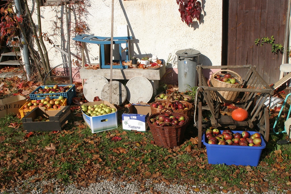 Apple pears street vending