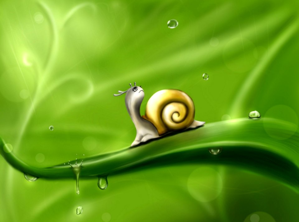 Green Snails And Slugs Snail Leaf