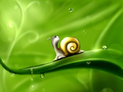 Green Snails And Slugs Snail Leaf