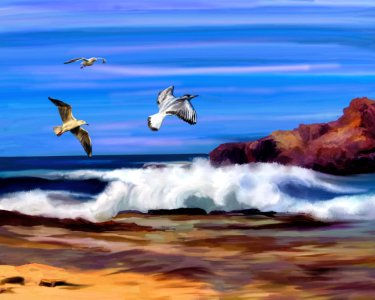 Sky Sea Seabird Wave