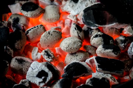 Charcoal Animal Source Foods Coal Meat
