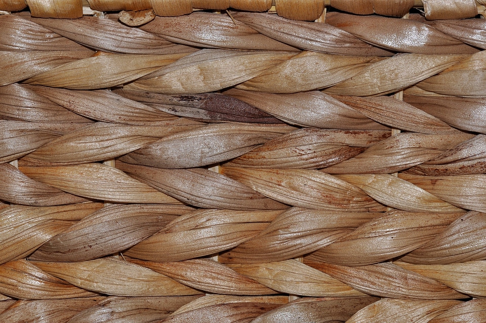 Texture background wattle