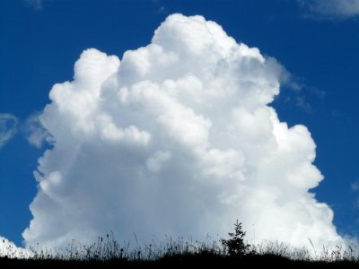 Cloud Sky Cumulus Daytime photo