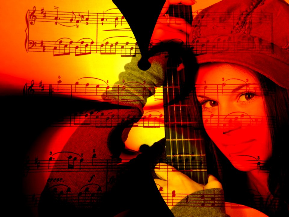 String Instrument Guitar Plucked String Instruments Musical Instrument