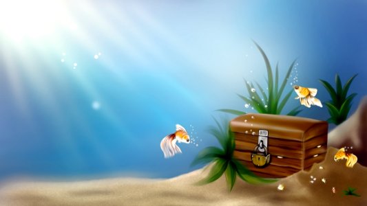 Sky Computer Wallpaper Water Organism