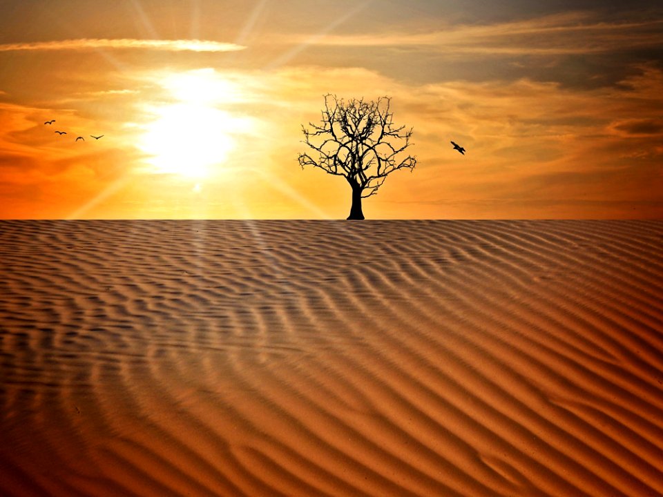 Sky Erg Desert Landscape