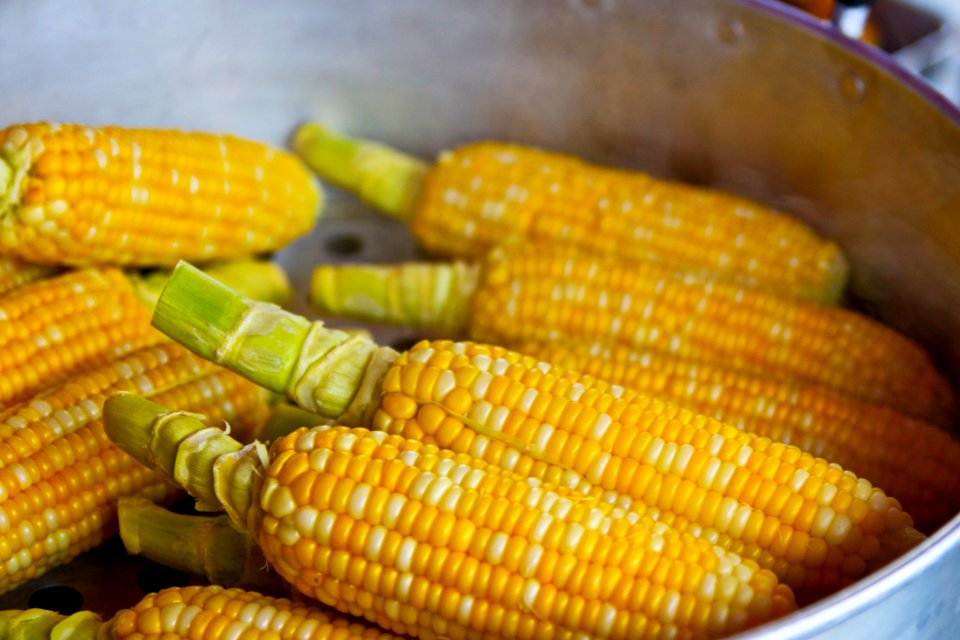 Sweet Corn Corn On The Cob Vegetarian Food Maize