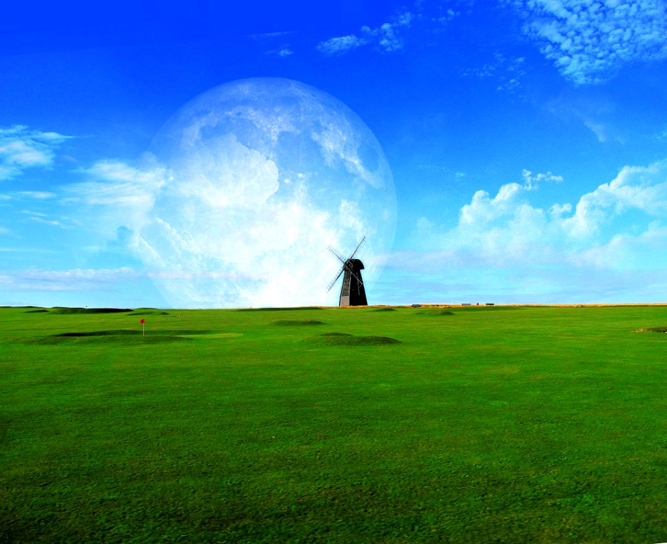 Grassland Sky Green Ecosystem