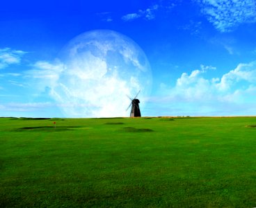 Grassland Sky Green Ecosystem