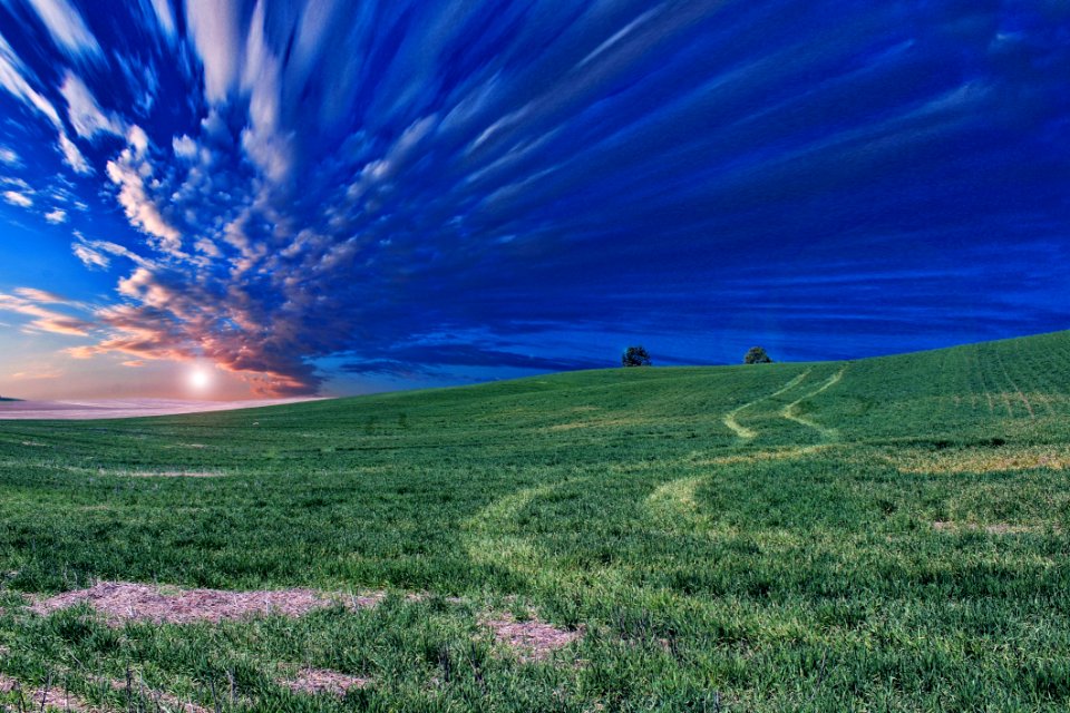 Sky Grassland Ecosystem Field