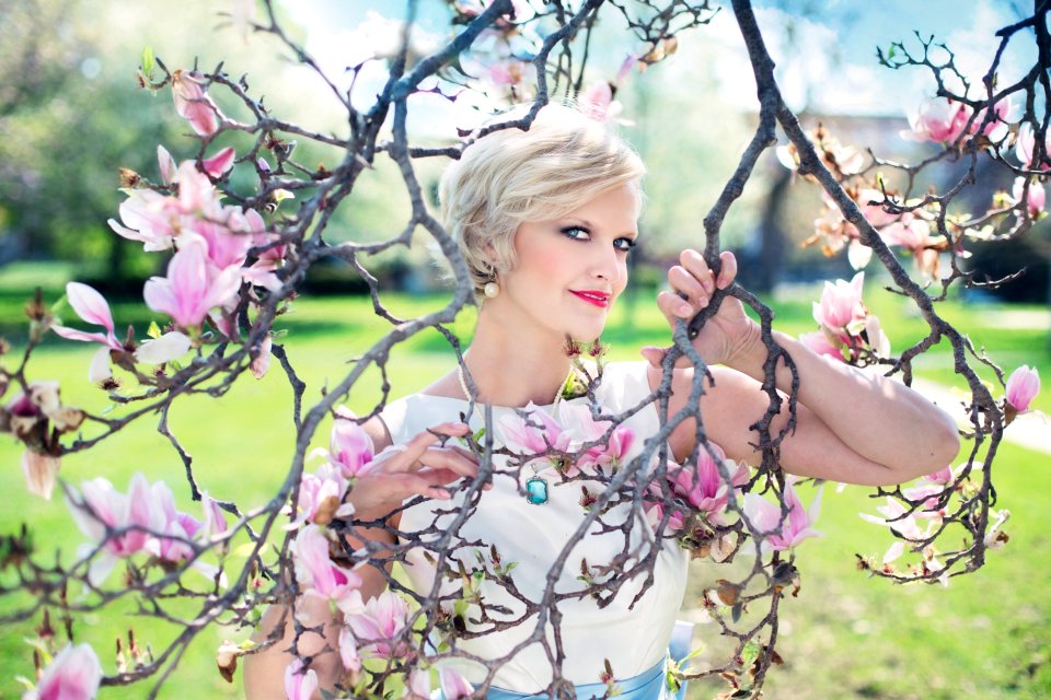 Pink Flower Blossom Branch