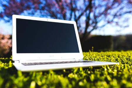 Technology Laptop Grass Electronic Device photo