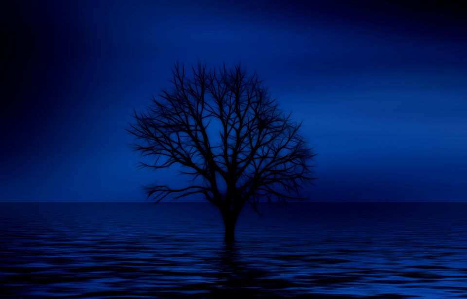 Sky Nature Tree Water