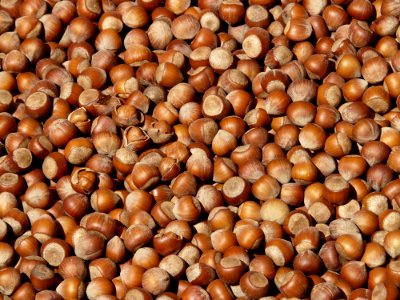 Nuts amp Seeds Hazelnut Nut Food