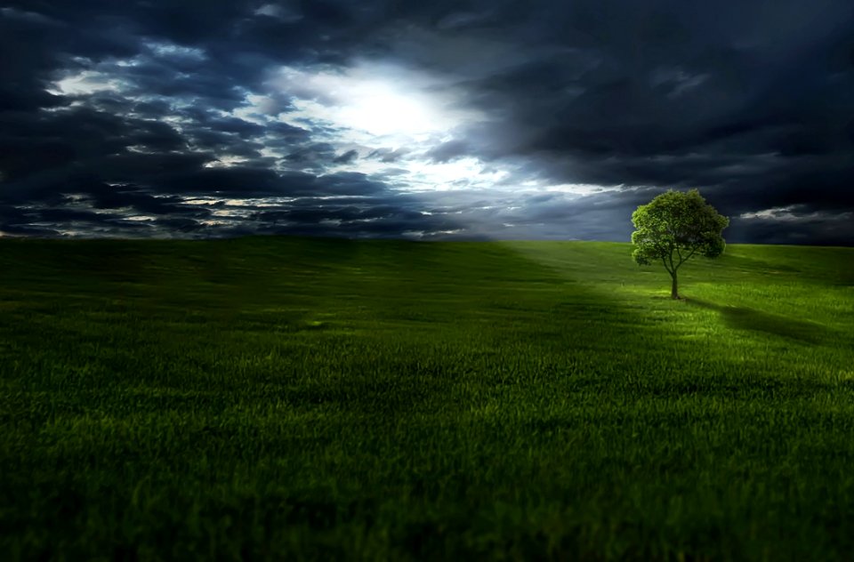 Grassland Sky Nature Green