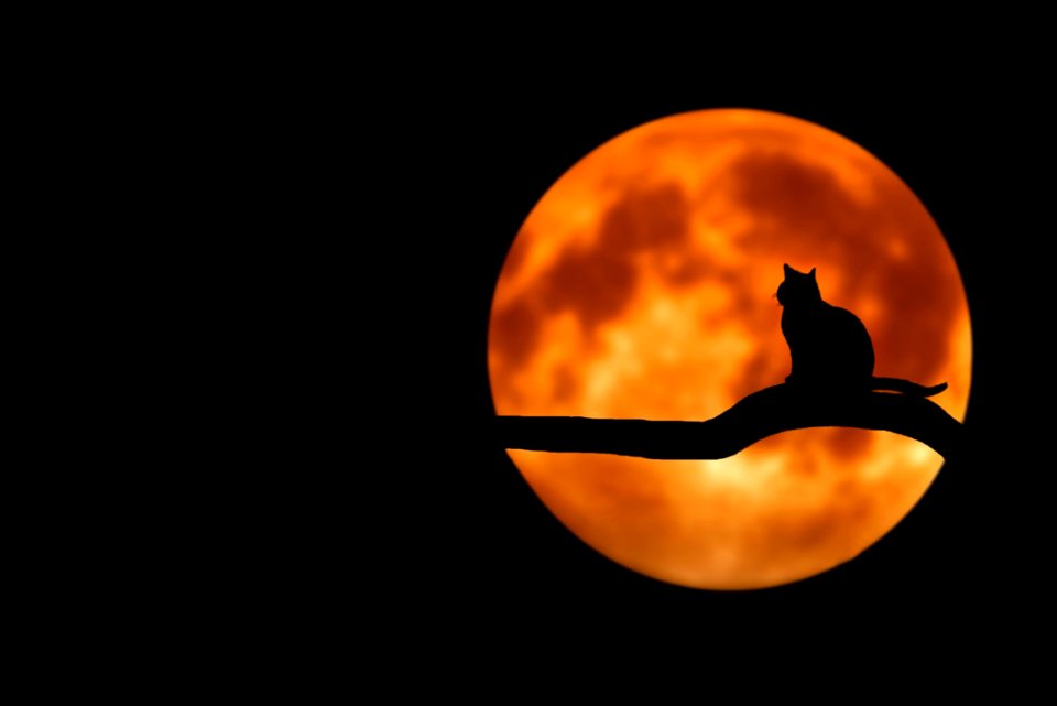 Sky Computer Wallpaper Moon Darkness