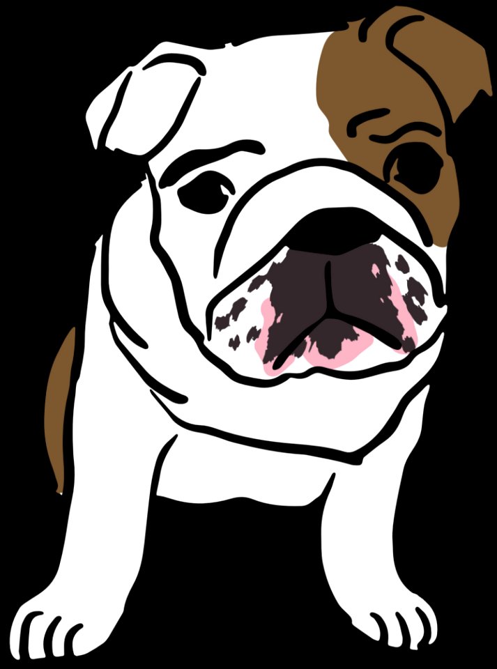 Dog Dog Like Mammal Black Mammal