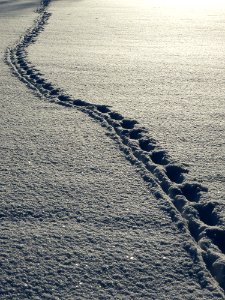 Freezing Snow Sky Sea