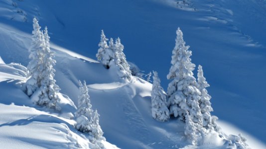 Winter Mountainous Landforms Sky Tree