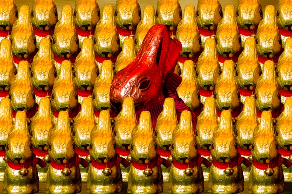 Easter Easter Bunny Chocolate