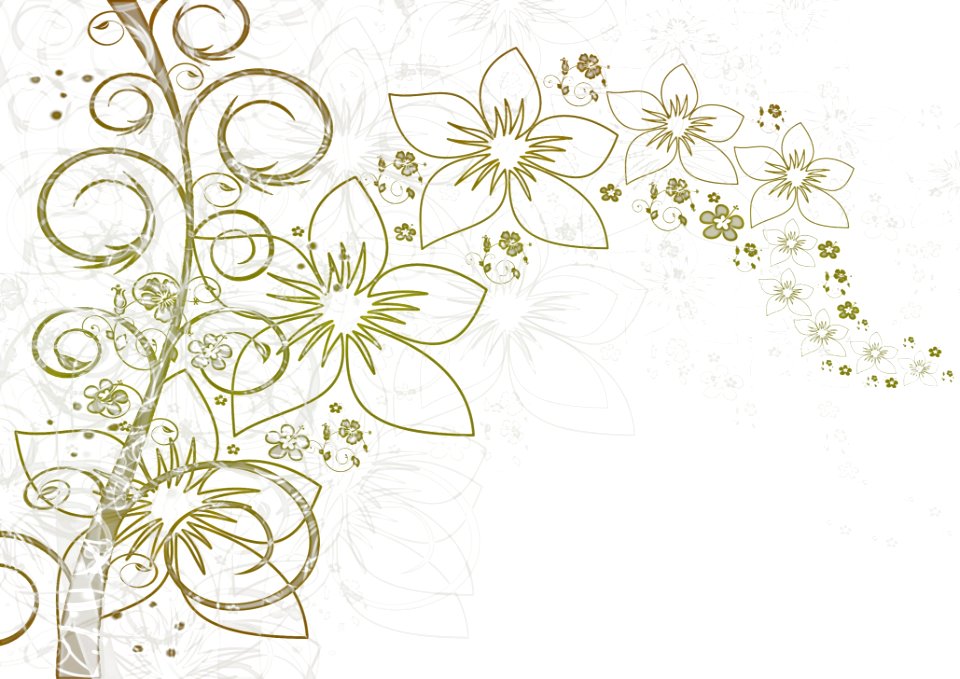 Flower White Flora Black And White