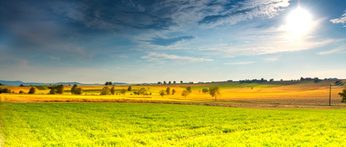 Sky Grassland Field Yellow